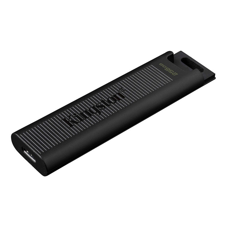 Накопичувач Kingston 256GB USB 3.2 Type-C Gen 2 DT Max