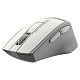 Миша A4Tech FG30 Grey/White