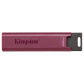 Накопичувач Kingston 256GB USB 3.2 Type-A Gen 2 DT Max