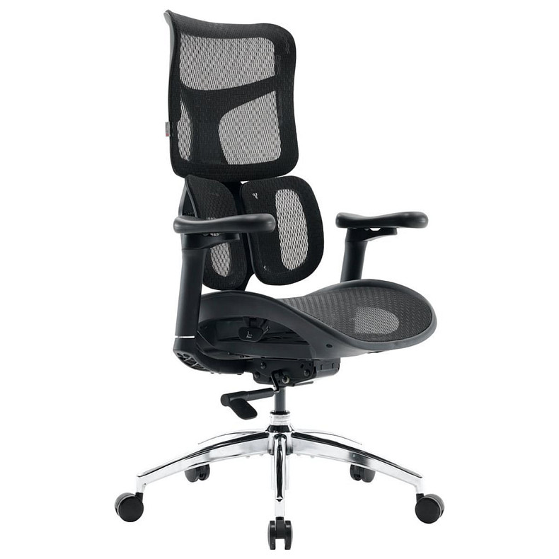 Крісло офісне Sihoo DORO S100 Mesh Black