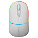 Мышка Canyon MW-22 Dual Band RGB Wireless Snow White (CNS-CMSW22SW)