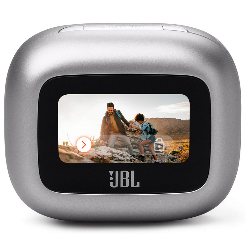 Наушники JBL Live Flex 3 Silver