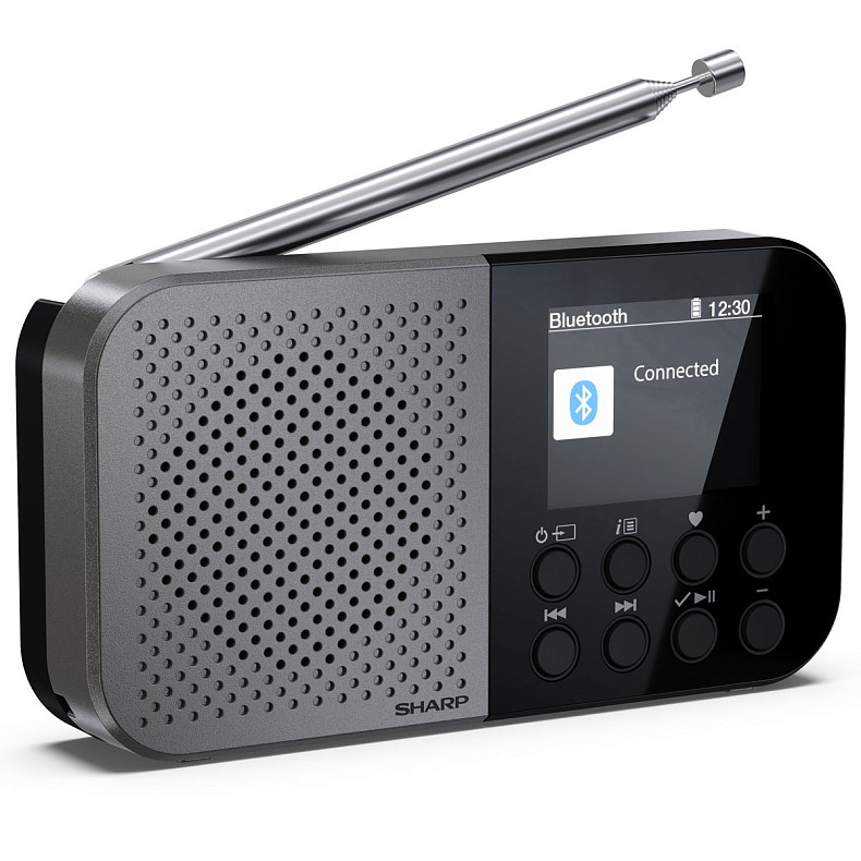 Радіоприймач Sharp DR-P520 Storm Grey