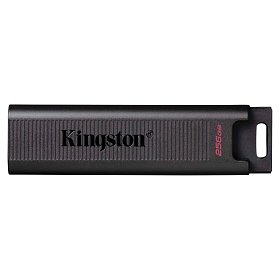 Накопичувач Kingston 256GB USB 3.2 Type-C Gen 2 DT Max