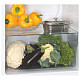 Холодильник Snaige R13SM-PRJ30F