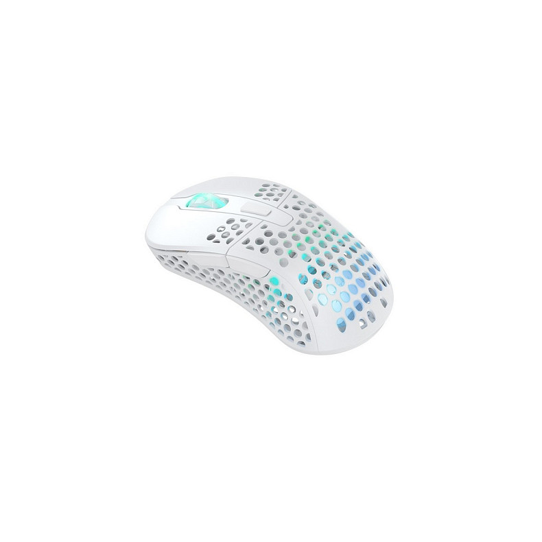 Мышь Xtrfy M4, WL/USB-A, RGB, белый