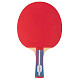 Ракетка для настольного тенниса Gewo Standard Pro FL (600300001)