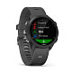 Спортивные часы GARMIN Forerunner 245 Black/Gray