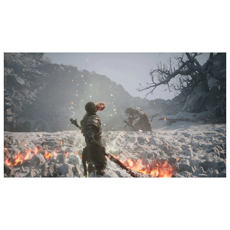 Игра консольная PS5 Black Myth: Wukong