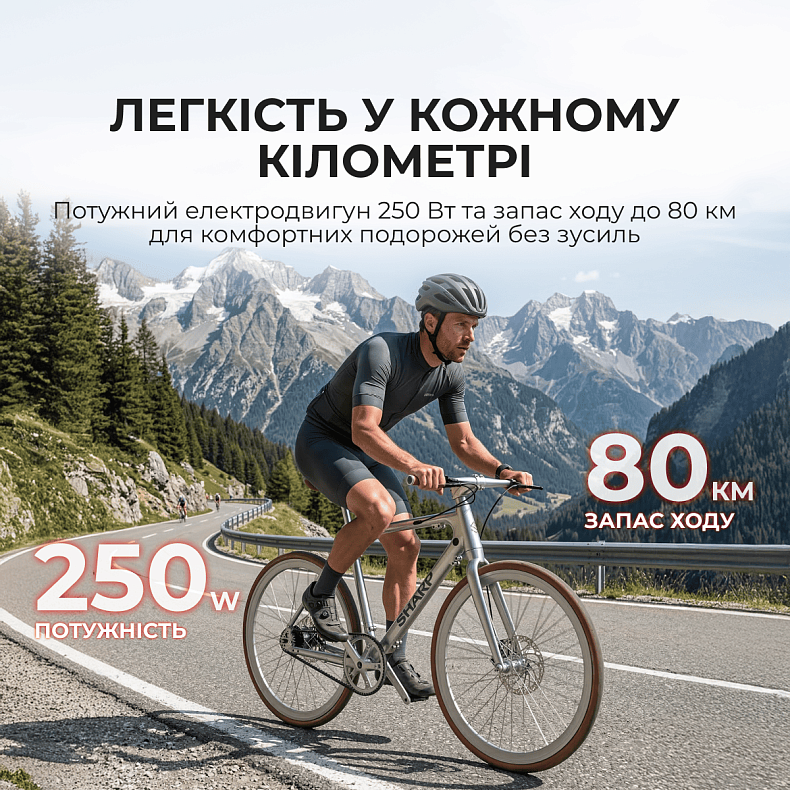 Електровелосипед Sharp 21" Silver Metallic (BK-RS08-ES)