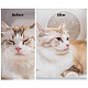 Сушка Petkit AIRSALON Max Pro Smart Pet Dryer PD10