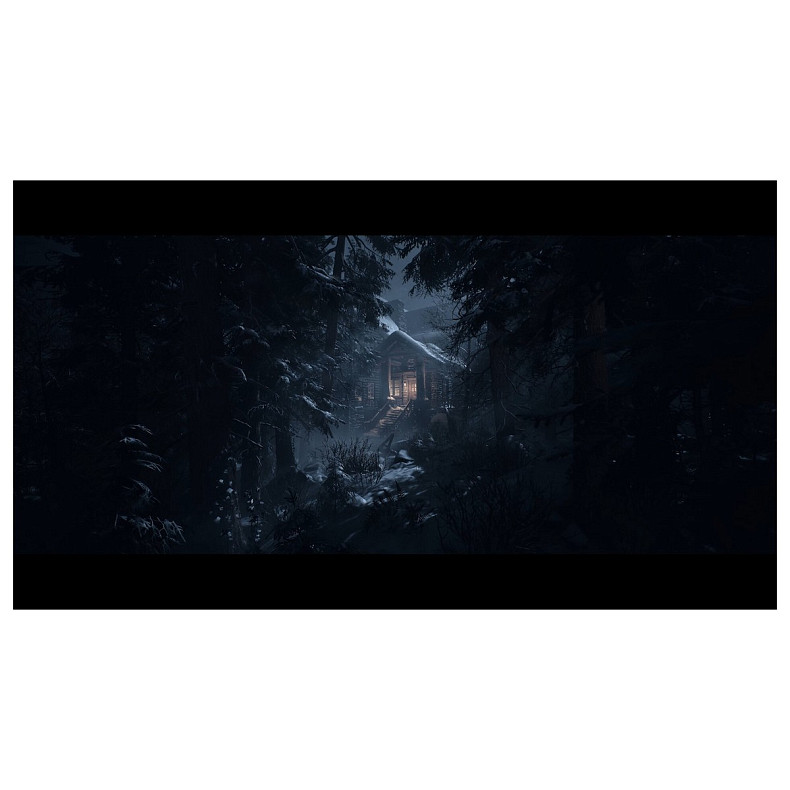 Гра консольна PS5 UNTIL DAWN