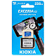 Карта пам’яті KIOXIA MICRO SDXC 256GB UHS-I LMEX2L256GG2