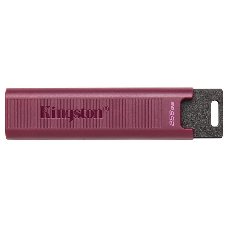 Накопитель Kingston 256GB USB 3.2 Type-A Gen 2 DT Max