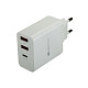 Сетевое зарядное устройство Canyon (2USB, 2.4A) White (CNE-CHA08W)