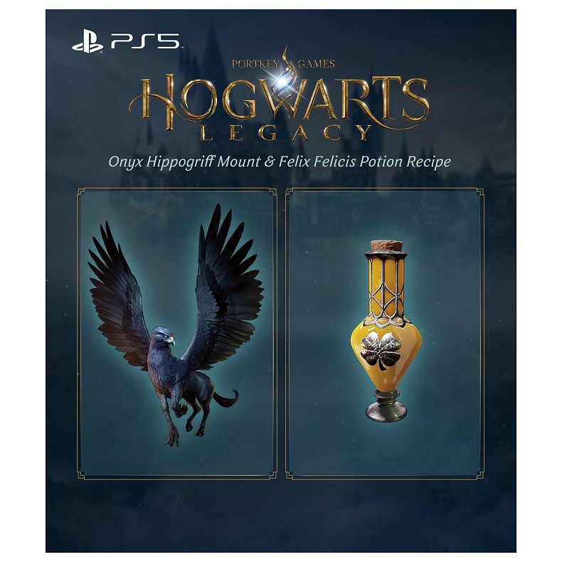 Игра консольная PS5 Hogwarts Legacy