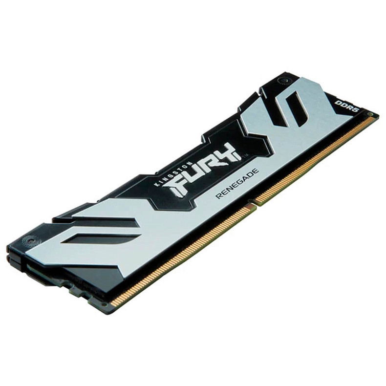 ОЗУ DDR5 48GB/6400 Kingston Fury Renegade Silver (KF564C32RS-48)