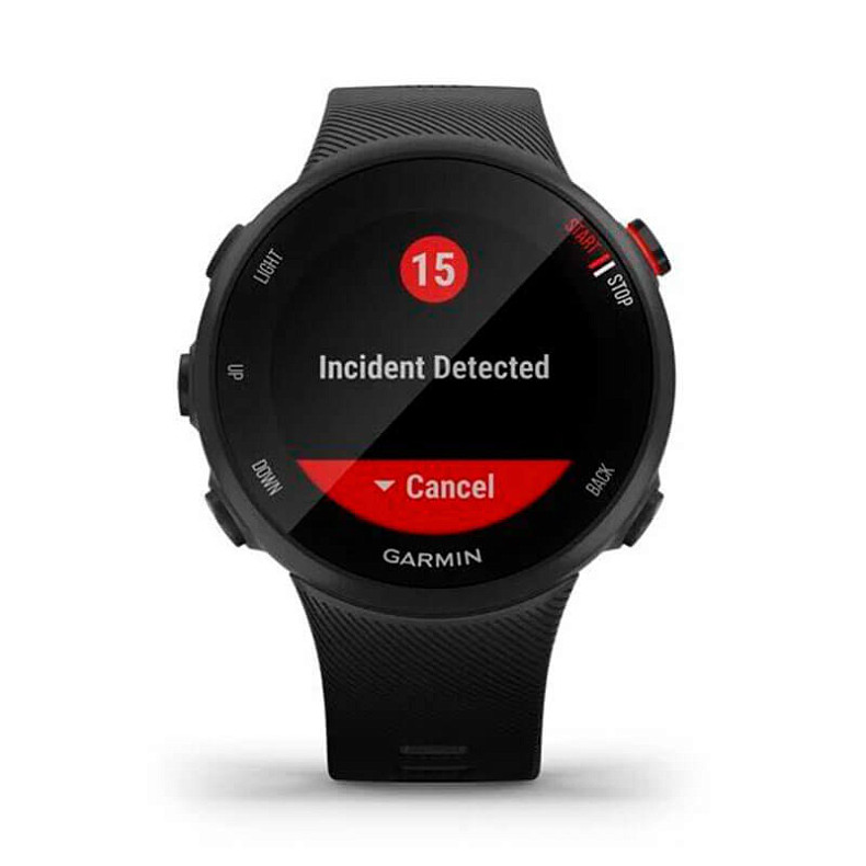 Спортивний годинник Garmin Forerunner 45s Black