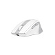 Мышь A4Tech Fstyler FG35CS Plus White