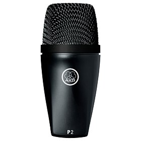 Мікрофон інструментальний AKG P2