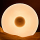 Потолочный смарт-светильник Philips Wisdom LED Ceiling Light 618мм 42W (9290018616)