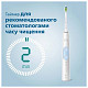 Зубная щетка Philips Sonicare HX6839/28 ProtectiveClean 4500