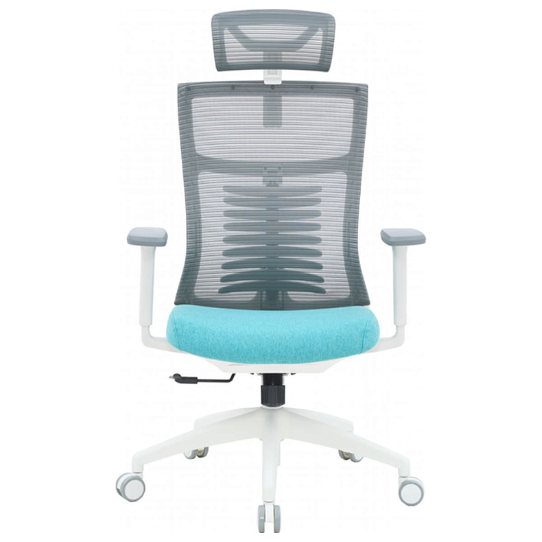 Офисное кресло OfficePro Balance OC550-W-DG-BL