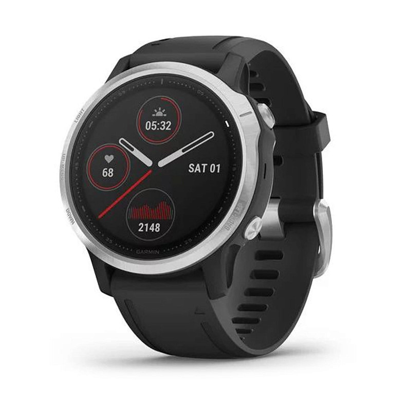 Мультиспортивные часы GARMIN Fenix 6S Silver with Black Band