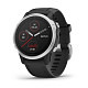 Мультиспортивные часы GARMIN Fenix 6S Silver with Black Band