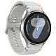 Смарт-часы Samsung Galaxy Watch 7 44mm Silver (SM-L310NZSASEK)