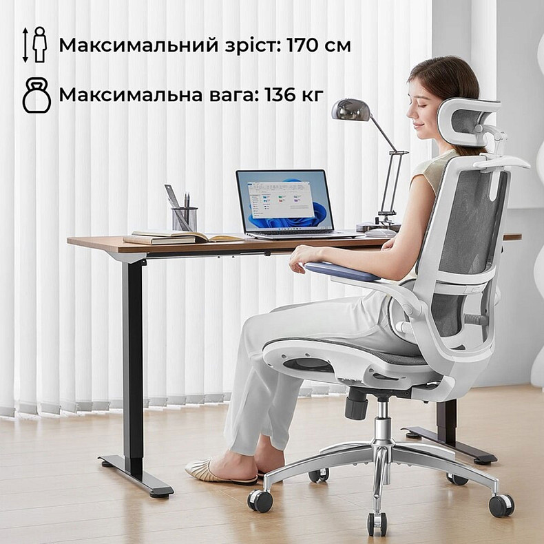Крісло офісне Sihoo M59AS Mesh Gray
