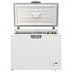 Морозильная камера Beko HSM30081H