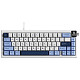 Клавиатура Ajazz AK650 Sea Salt Switch White USB-C (AK650-SS-BWB)
