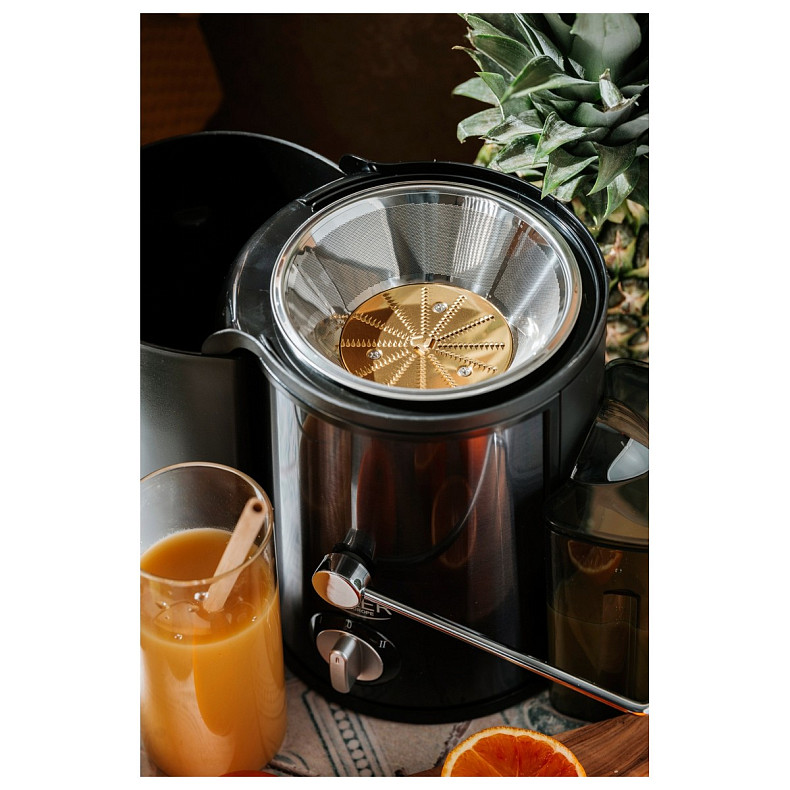 Соковыжималка Adler AD 4132 dark