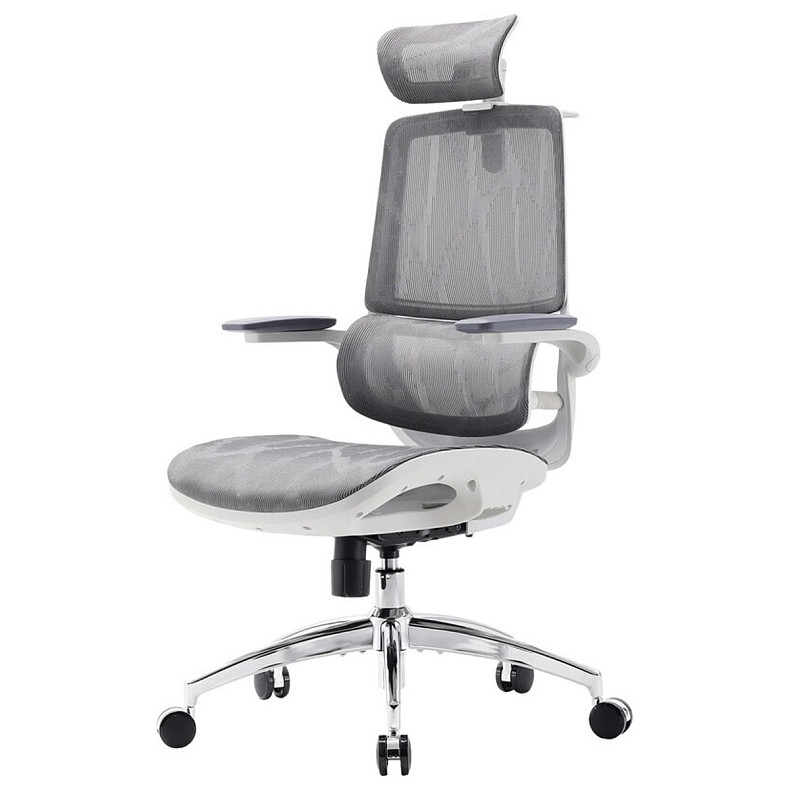 Крісло офісне Sihoo M59AS Mesh Gray