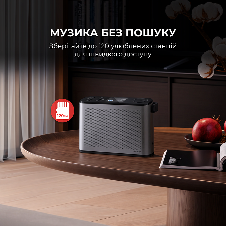 Радіоприймач Sharp DR-P540 Grey