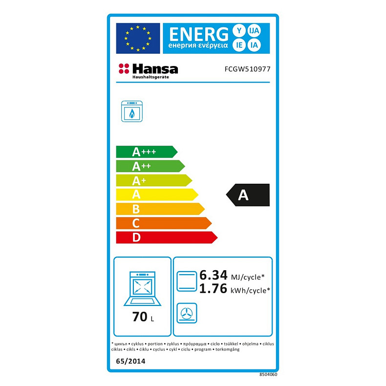 Кухонна плита Hansa FCGW510977