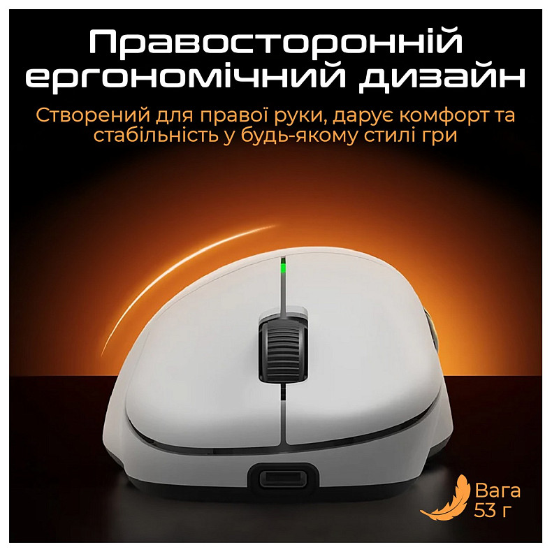 Мышь RAWM ER21 Black