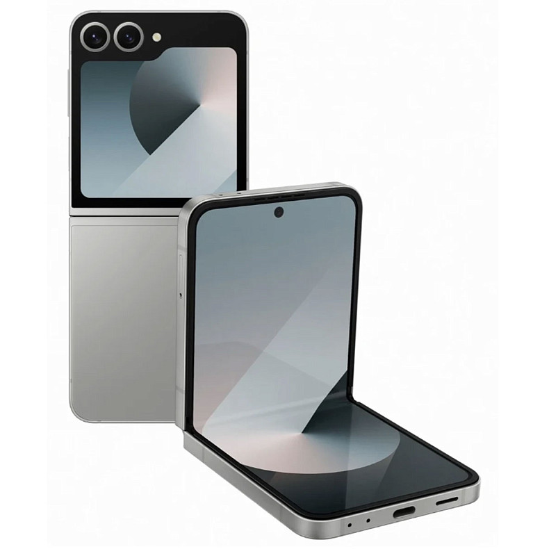 Смартфон Samsung Galaxy Flip6 SM-F741 256GB Silver Shadow (SM-F741BZSGSEK)