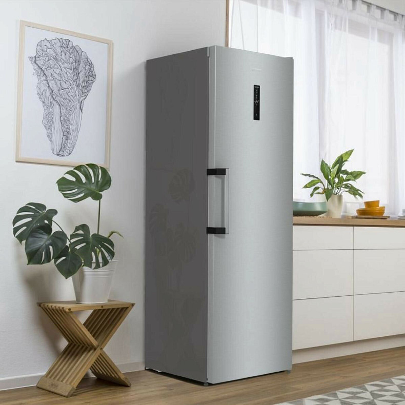 Морозильная камера Gorenje FN 619 EAXL6
