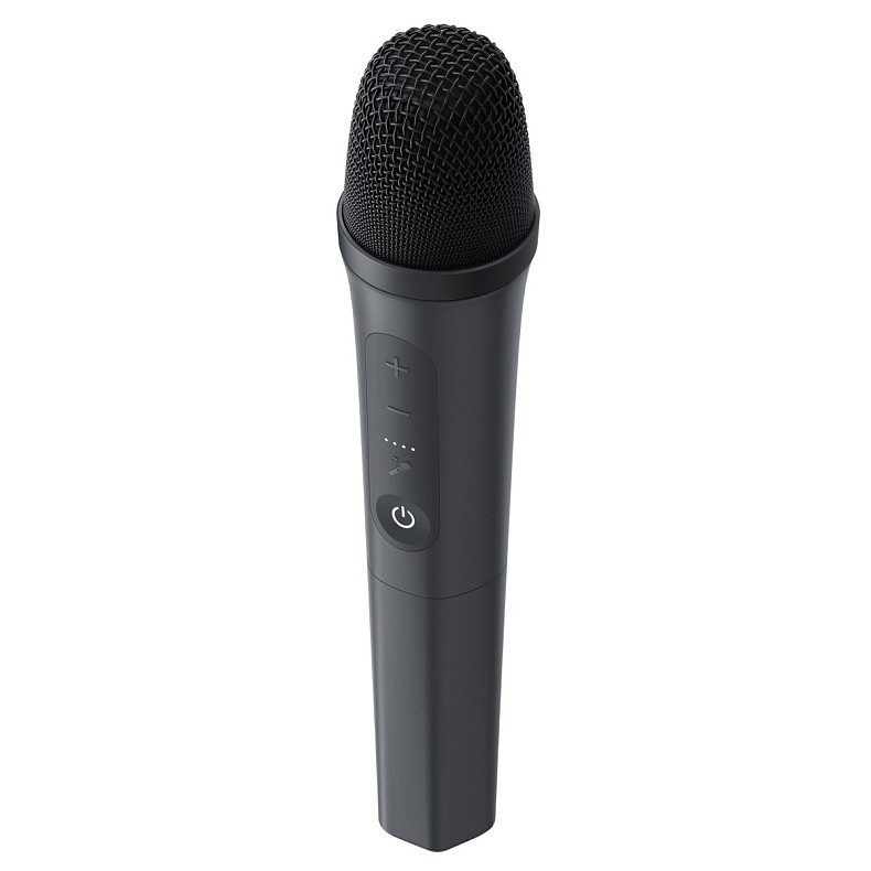Портативная акустика ANKER SoundCore Rave 3S Black