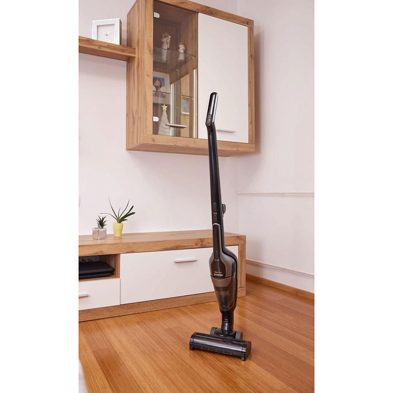 Пылесос аккумуляторный Gorenje SVC 216110 FSIIBKA