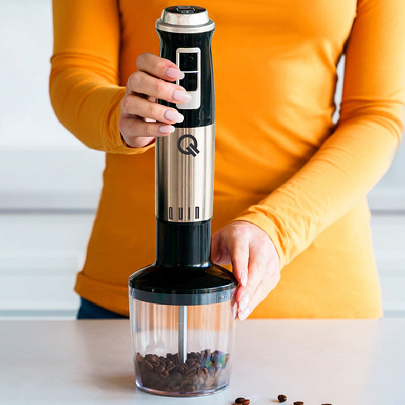 Занурювальний блендер QUIN HB-110SDS-2