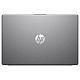 Ноутбук HP 255R G10 (B39ZDAT) Silver