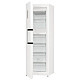 Морозильная камера Gorenje FNP619EAW6L