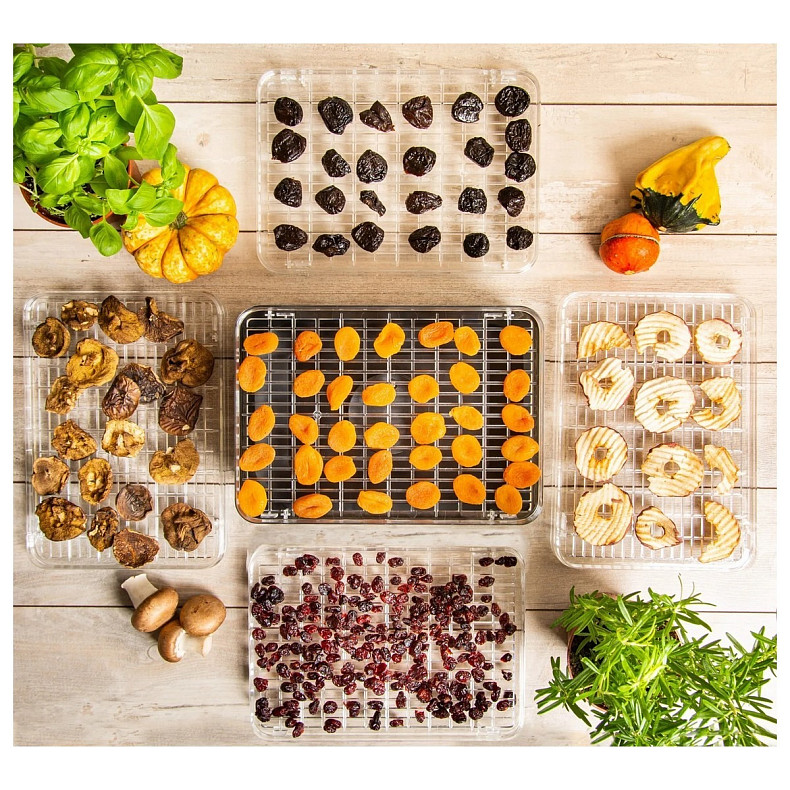 Сушилка First FA-5126-5