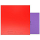 Накладка для ракетки Joola Dynaryz Inferno 2.0 Red (70464)