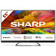 Телевизор Sharp 55EQ3EA (4T-C55EQ3EM2AG)