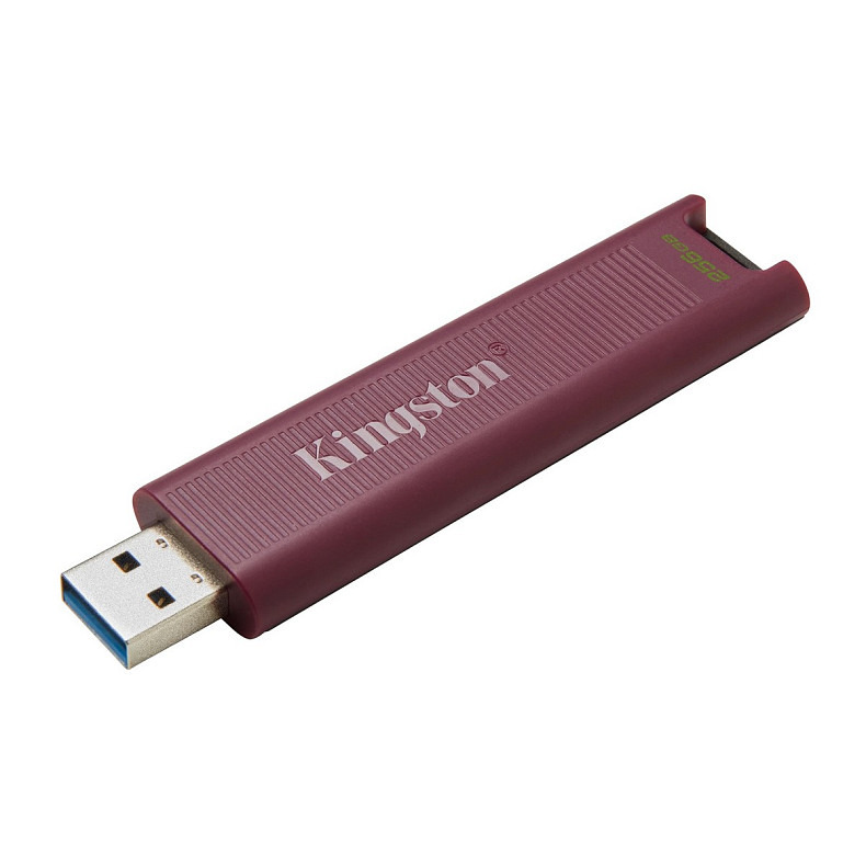 Накопичувач Kingston 256GB USB 3.2 Type-A Gen 2 DT Max