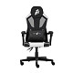 Кресло для геймеров 1stPlayer P01 Black White